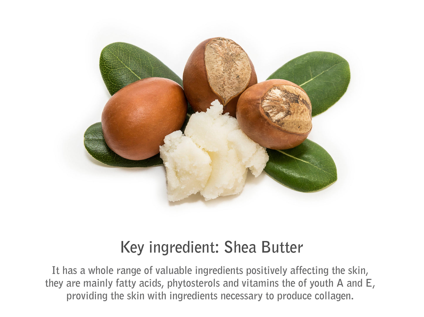 shea butter